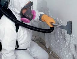 Biohazard Mold Removal in Romeoville, IL